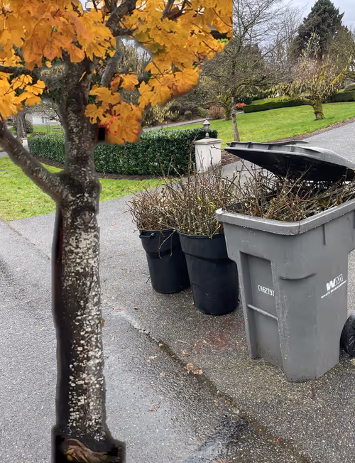 Item #98302218548154138540751170161055066086641108964287725677528013452039294025729 Media