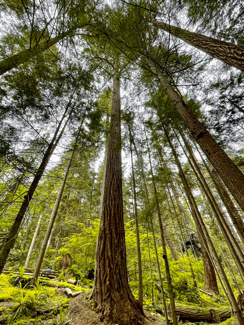 Item #60286361363657250857601775030637471218171117852543341295073304040439287906305 Media