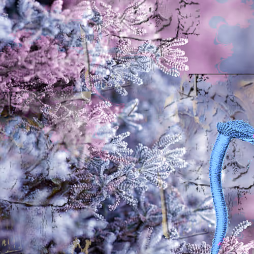 91754164606506966575596469571565985485613429950187136926502423092503783669761