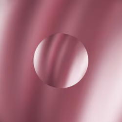 Circum #361