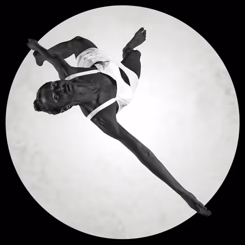 Item #39295881617660702047308411116820510807809487550809716256855874906323182157825 Media