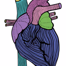 28824502245252267217549902857601847351510039266873569823091148198612295483393