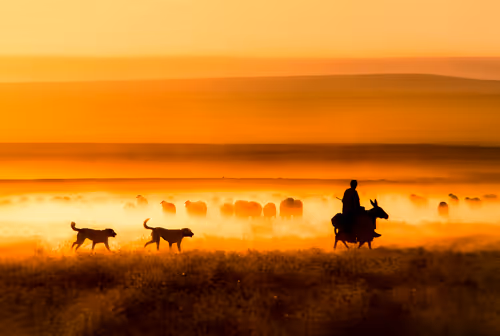 Item #4777519611929848657544171126836398990818391331015320598646886670984233877505 Media