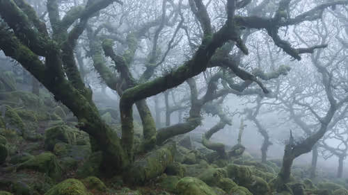 Item #72639390708267126639436568569652760193401123475841185469851730194981120376833 Media