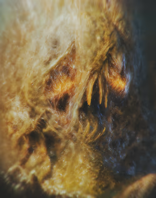 Item #55881646325774394077147768718081657751292269434891868439632387319558597246977 Media