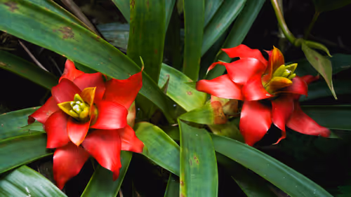 Item #114510891750785963571823232804805888525894639092230678926602407092218492878849 Media