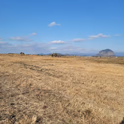 jeju
