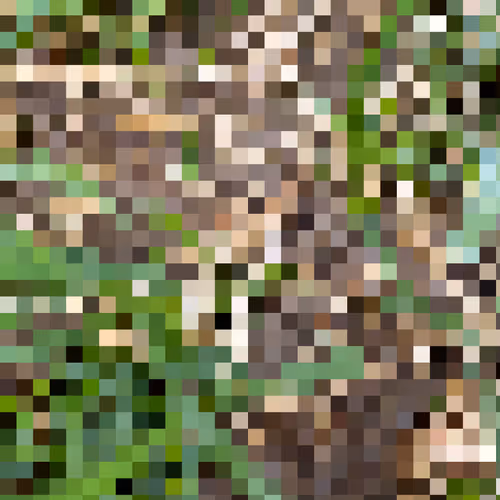 2850415134272365380187775685678842410458265265709128331682257505176258609153