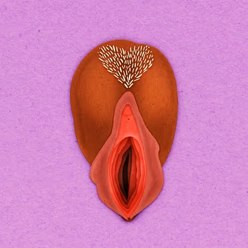 Item #83469337007199017734157032909695619947256388016886346874491258706982938345473 Media