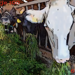 106168068867162485094593885732241547229015412580842941571810197536248761942017