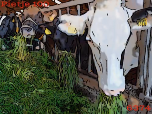 Item #106168068867162485094593885732241547229015412580842941571810197536248761942017 Media