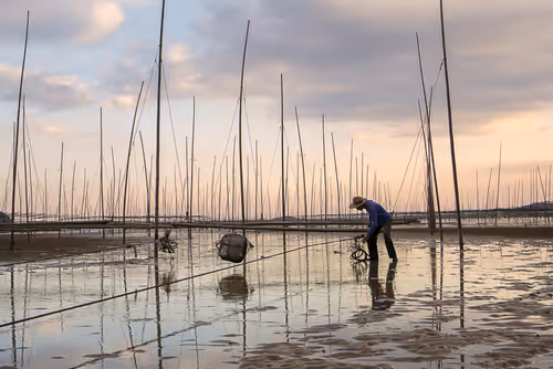 Item #1481344109210208725920975203172418785909527280218329969368929601253667766273 Media