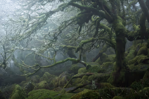 Item #72639390708267126639436568569652760193401123475841185469851730224667934326785 Media