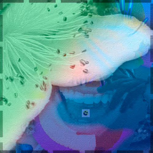 Item #60918786988160714123185840484614700347261787929977153864675005516693934964737 Media