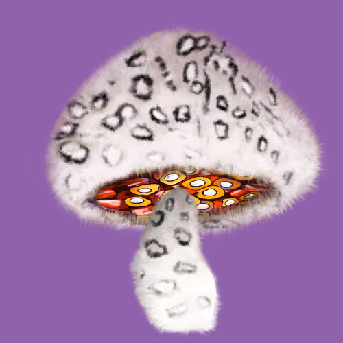 Item #46034849265832991985054005845495595569977159826723230396281256073640422670337 Media