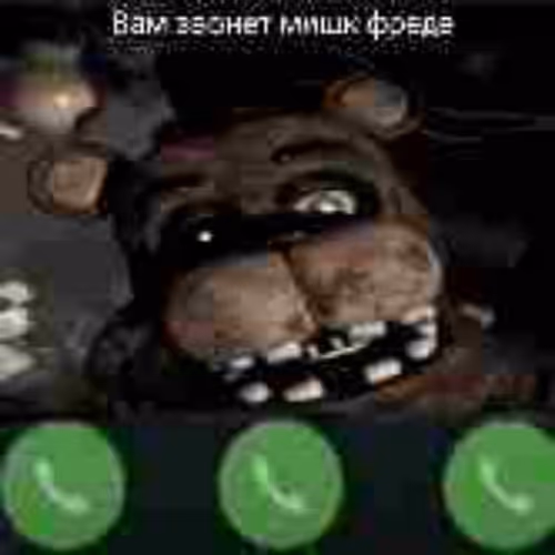 Beeeeeeeebra