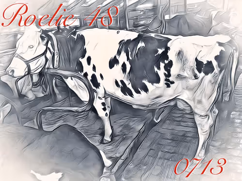 Item #106168068867162485094593885732241547229015412580842941571810197402108343353345 Media