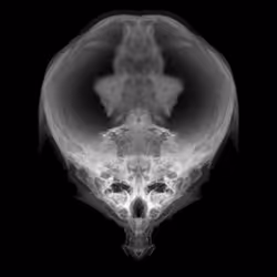 85859191866638808365331437874953228966785819470149775310971063170256900980737