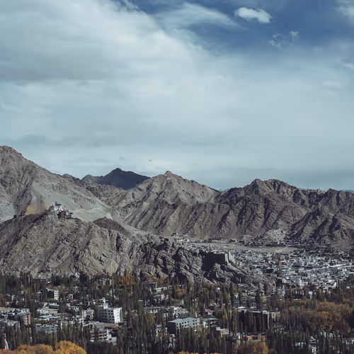 Thunderbird00 Collection