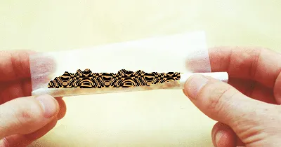 25341286264500723035621473236106555894325910133190681856438129049793483243521