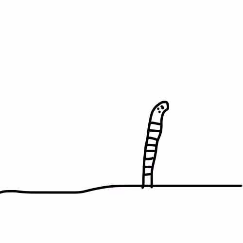 Item #102409658063316233615250060414896163292002921074793222749079566903892663861249 Media