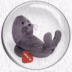 41776025324002017952572422073316458441069080831023694546850786882505943285761