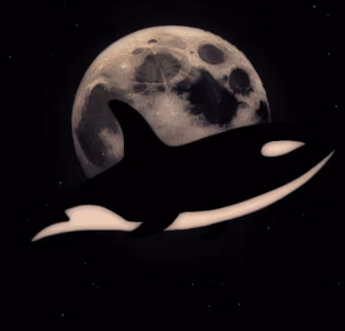 Item #53656058415869394314962841575876085778892851125174536728105346454263737352193 Media