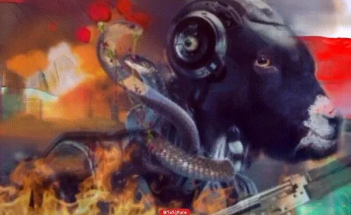 Item #100904379178214568277262680850716896340857049395936338823460596538620369698817 Media