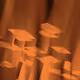 30370638136879210530878756847968974833931182144688384242716699042874361118721