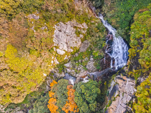 Item #67686649945813211142348116383551297901422610875826896463266851535341347667969 Media