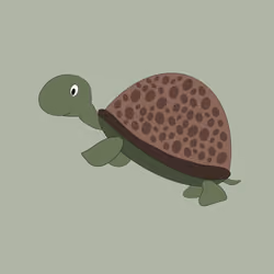 Green Turtle 3