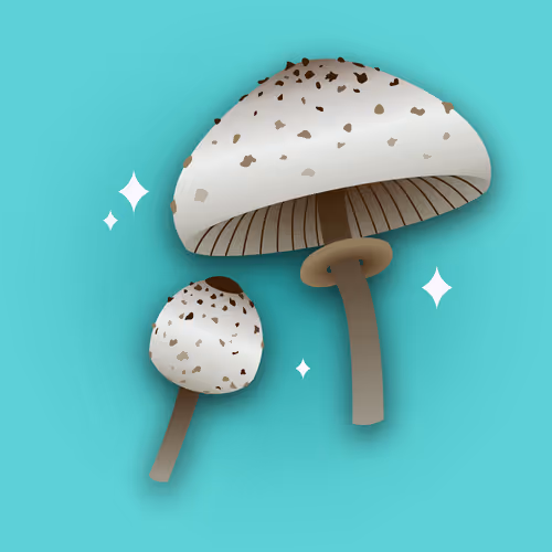 Item #53620360078498613901339183149326713416038543427946561370212887986617626656769 Media