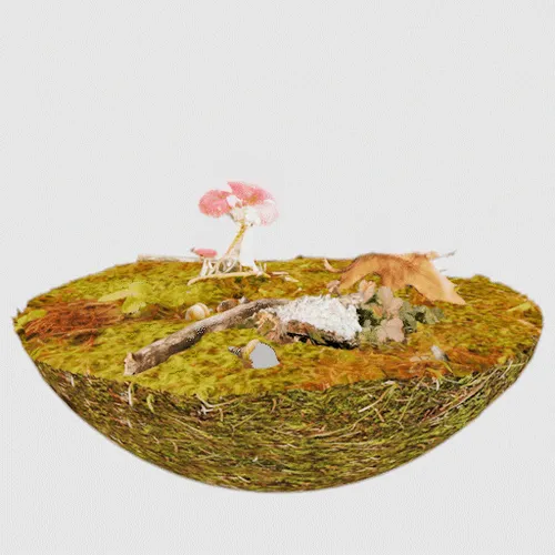 Item #35733408950682889513496686103591328439267245450055177033221291797733626085377 Media