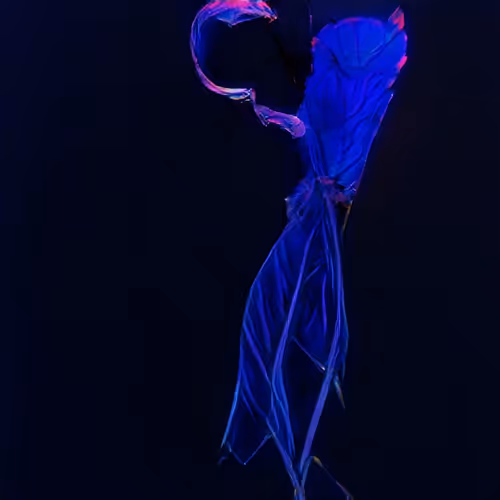 The Non-Human Artwork Project #94