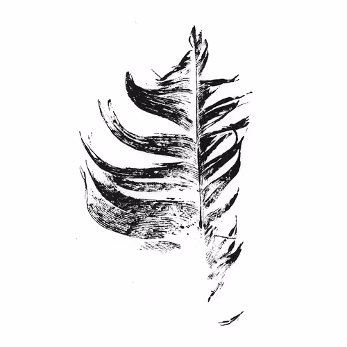 Untitled Collection #3202143239