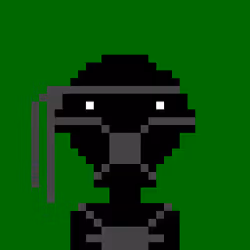The lost Ninja #198