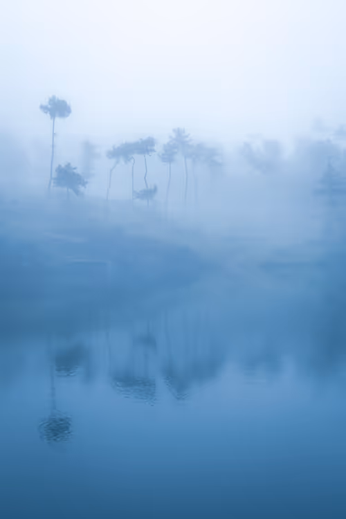 Item #58778802424597683361668907663130982952189902103312446556756235428740428988423 Media