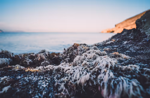 Item #96927138123694371990624378573919196862016558693078256504060925341545065873409 Media