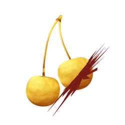 Item Media