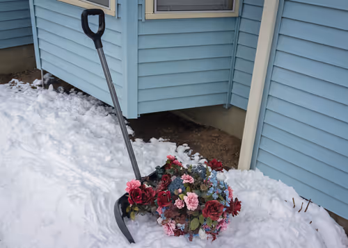 Item #66199238370220987817260704809787442862597280032429936774217036771012808540161 Media