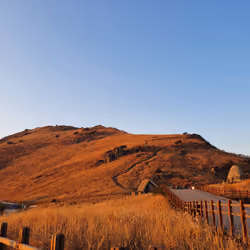 Ulsan#5