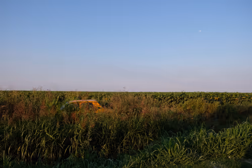 Item #105475816949175725597838668609224528502922702307421382918206128482522706739201 Media