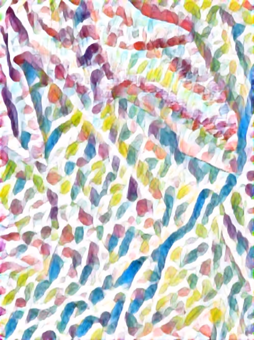 Item #13022119106637872780639257412886020365194917216961513586810508303908672110593 Media