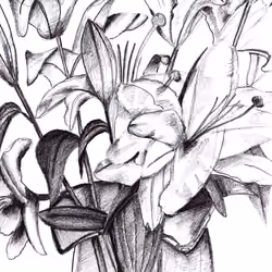 # 0014 Flowers