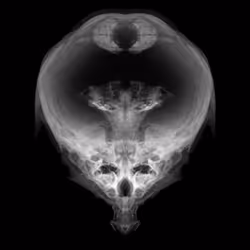 85859191866638808365331437874953228966785819470149775310971063115281319591937