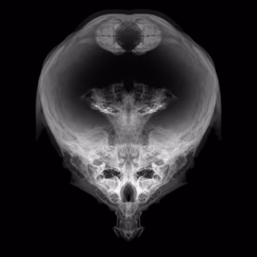 Item #85859191866638808365331437874953228966785819470149775310971063115281319591937 Media