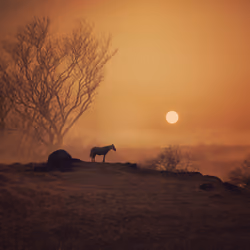 Farewell