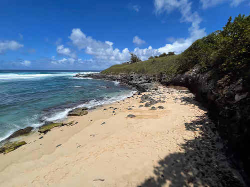 Item #103478439524768864442959373510033945590872230740400056418808036729321001320449 Media