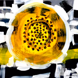 82389879720576235689883874954171763006981900768382394728967861662925864304641