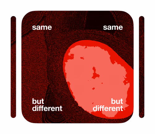 Item #90906802532665990841476378888607372921209507756011990379502631606824919367681 Media